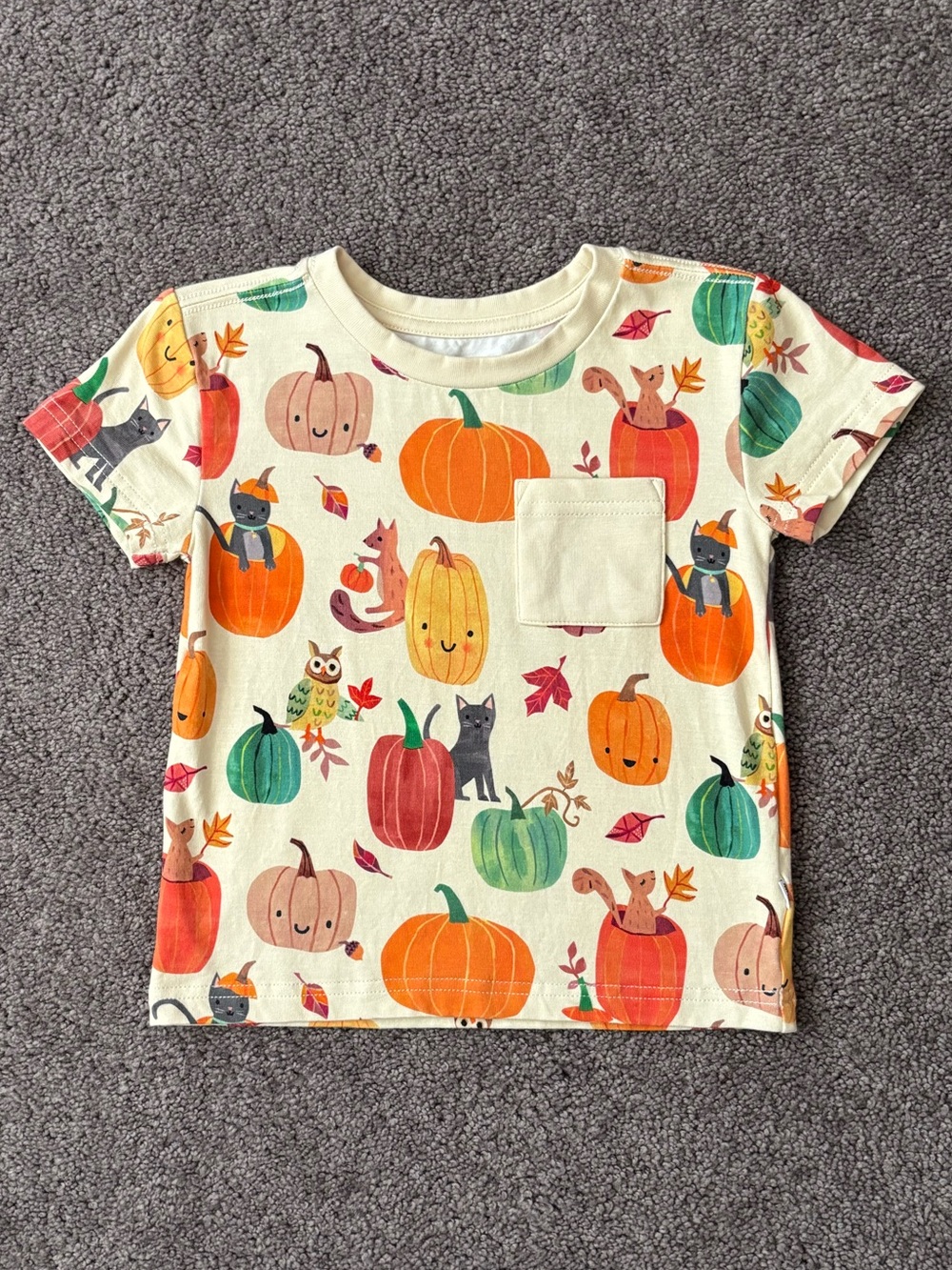 Little Sleepies Pumpkin Pals Tee 2T
